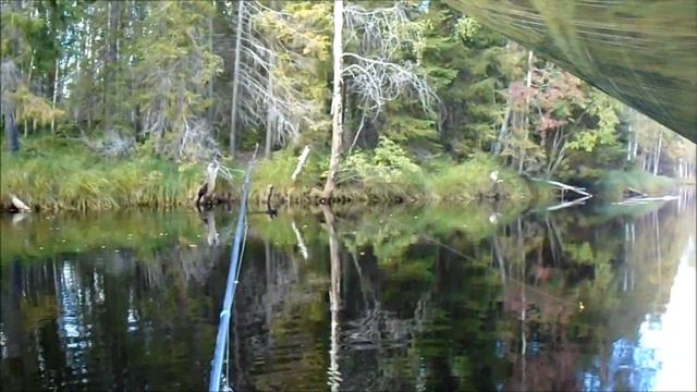 Рыбалка в начале осени смотреть онлайн