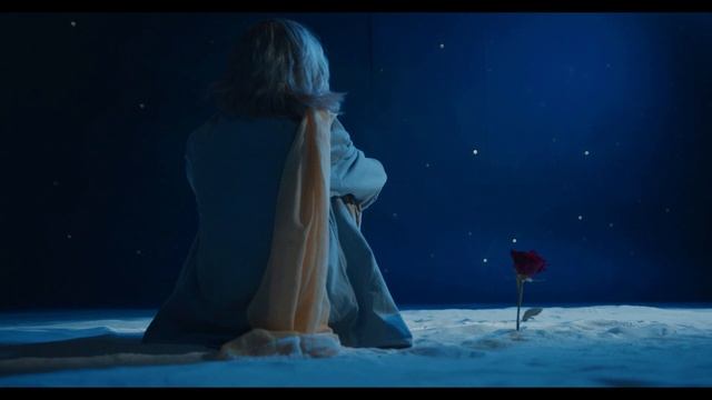 Приключения Дольки и Уголька в Соломенной стране. Политическая сказка