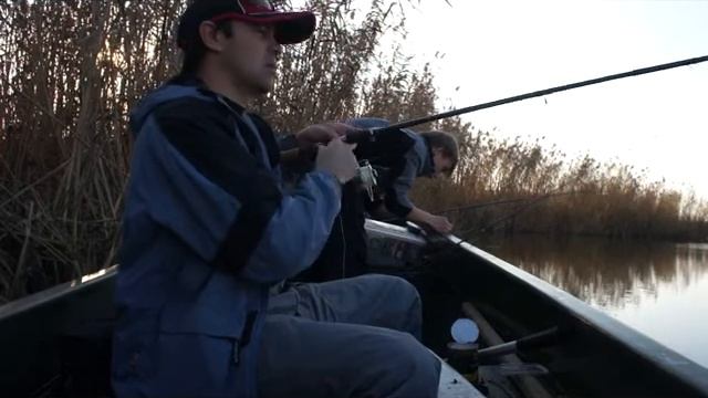 как мы ловили сазанчика на Нижней Волге смотреть онлайн