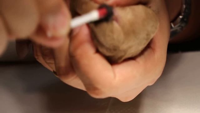 Tail docking and amputation 1/2 смотреть онлайн