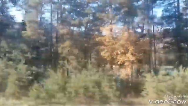 Горный Алтай из окна автобуса. Чуйский тракт смотреть онлайн