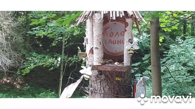 Сходница "Зелёный бор "БЕЛОЧКА смотреть онлайн