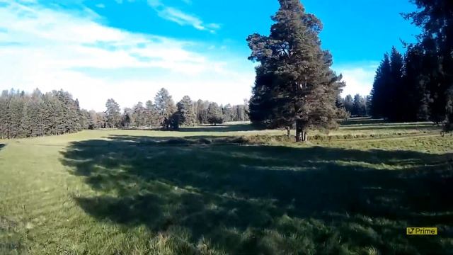 Видео с камеры FX DV08, квадрокоптер Racer 250