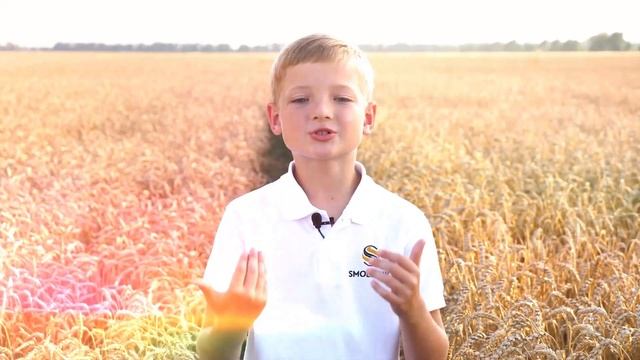 Demetra - Agro Феликс Юлия смотреть онлайн