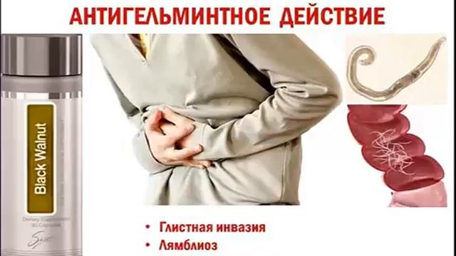 Black Walnut (Черный Орех) смотреть онлайн