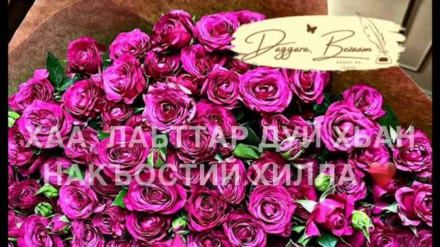 Дала декъал йойл хьо смотреть онлайн