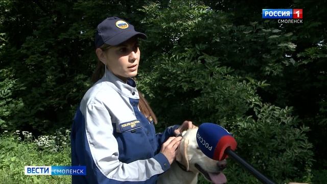 Как работают смоленские кинологи смотреть онлайн