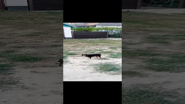 Злюка.mp4 смотреть онлайн