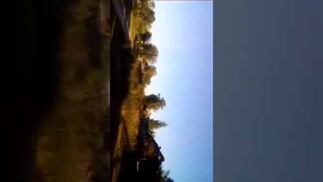 Андрей решил залезть на столб! смотреть онлайн