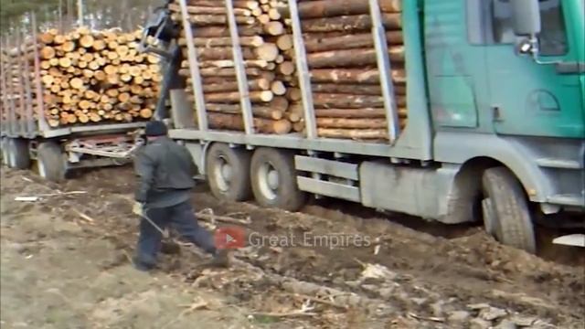 Dangerous Biggest Logging Wood Truck Working, Fastest Tree Felling Skill With Chainsaw & Woodworkin смотреть онлайн