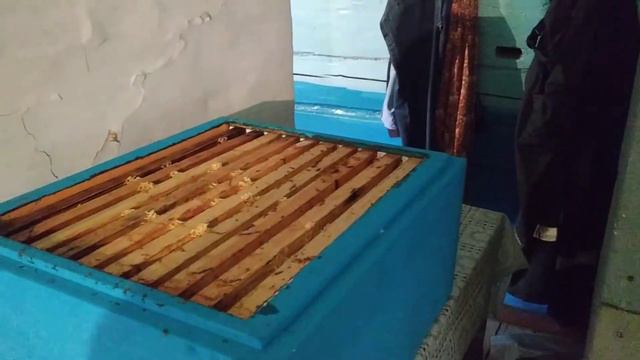 Забрусовый мед. смотреть онлайн