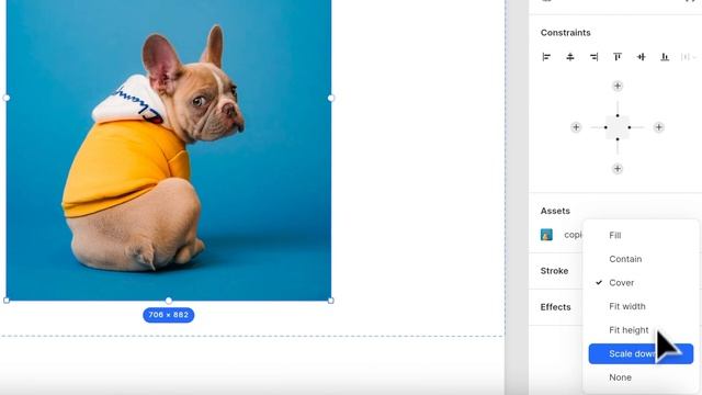 Dora Tutorial: Image