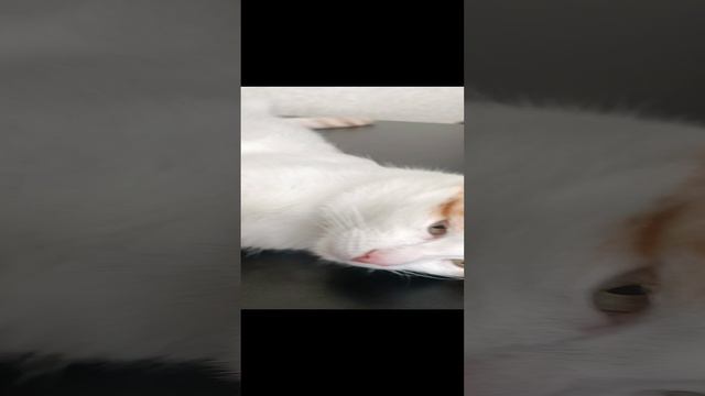 Кузя смотреть онлайн