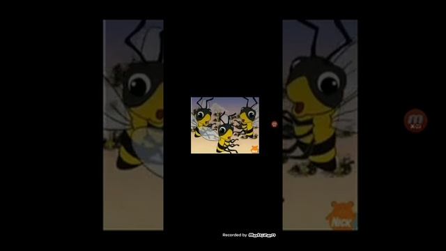 buzzy bees compete seance смотреть онлайн