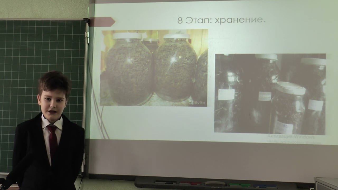 Иван чай - экологический чистый напиток России смотреть онлайн