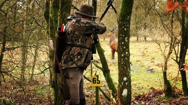 3D Shoot In Vejen Denmark - Traditional Archery - 3D Archery - Outdoor Life - Archery Practice