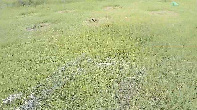 №100.Курятник из поддонов//делаю пол///Часть 2.