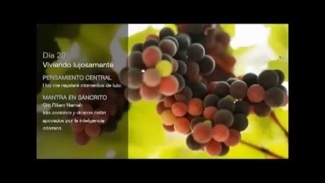 Deepak Chopra Meditacion Guidada 21 Dias - Dia 20 - Una meditación al día por la felicidad смотреть онлайн