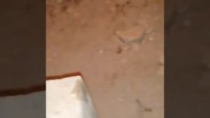 Как снять обойму подшипника, если он развалился! 7 февраля 2022 г.