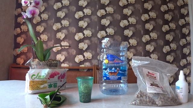 орхидея без корней, как нарастить корни/ зверская обрезка листьев во благо смотреть онлайн