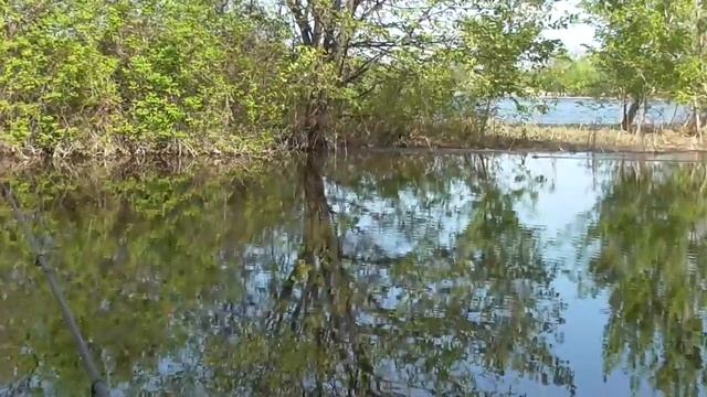 ЗАКИНУЛ УДОЧКУ ПОД КУСТ И ПОНЕСЛОСЬ.РЫБАЛКА НА ПОПЛАВОК 2021 смотреть онлайн