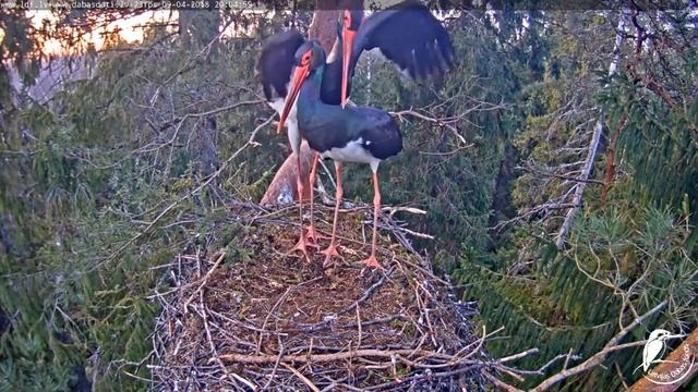20:04:55-20:05:14 T2 un M - 18+ 2018.04.09 смотреть онлайн