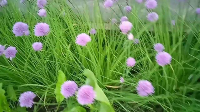 Полезная красота. За 10.06.2021 смотреть онлайн