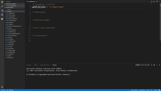 Programmieren in Python 3.6 (1): Variablen & Datentypen смотреть онлайн