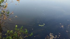 Проводка джекбейта. Плавающий и тонущий джерк. Щука на китайский джерк. Пусть подрастает.