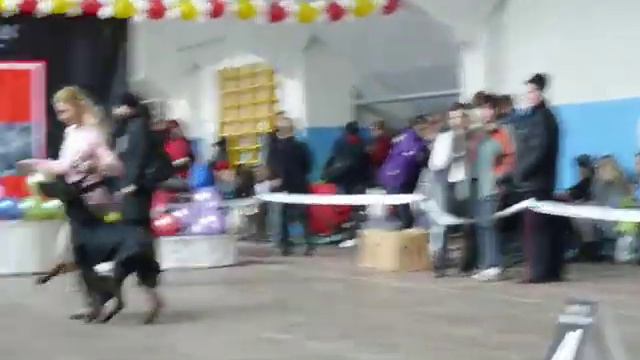 Моно ДОБЕРМАНОВ Челябинск 13.02.11 Прозоров.Д. смотреть онлайн
