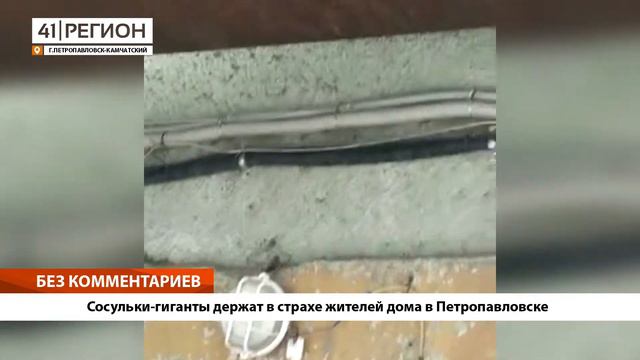 •БЕЗ КОММЕНТАРИЕВ: Сосульки-гиганты держат в страхе жителей дома в Петропавловске• смотреть онлайн