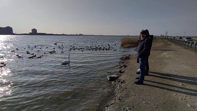 ЕВПАТОРИЯ, прогулка на Лебяжье озеро смотреть онлайн