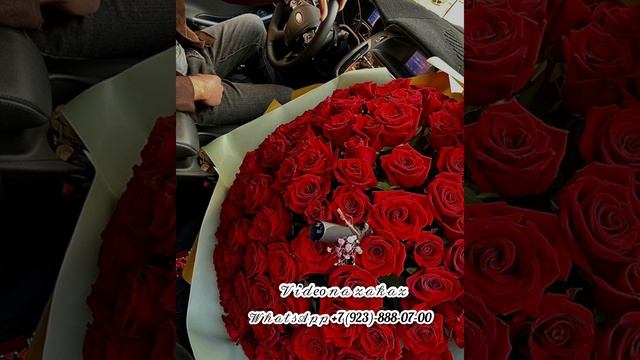 Дала декъал йойла хьо Нан?(озвучка) смотреть онлайн