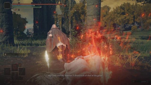 I killed Melina in Elden Ring(+ Death Voice line) смотреть онлайн
