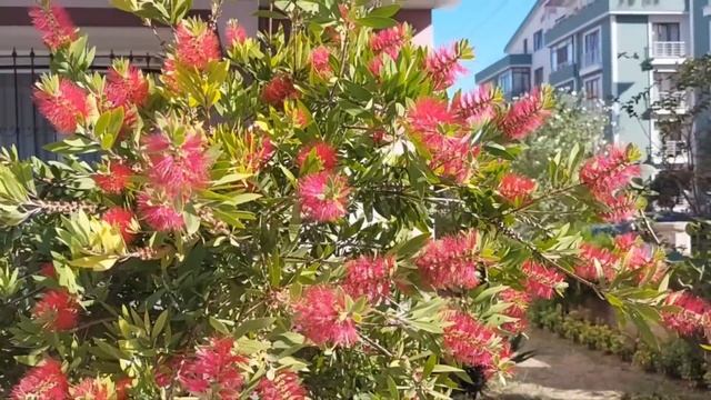 Тетя планировала и дальше жить в квартире племянницы,не платя ни копейки,намекая на то,что они-родн