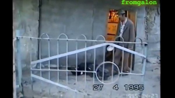 Галон 1995год