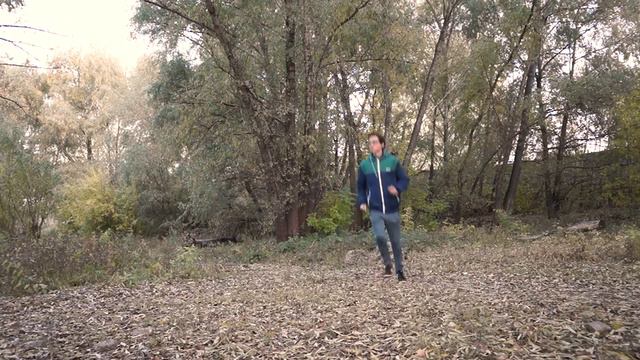 Учебная работа "Цветовое решение" - (MB) смотреть онлайн