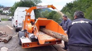 Измельчитель веток Skorpion 350 на больших деревьях, дробление стволов и веток