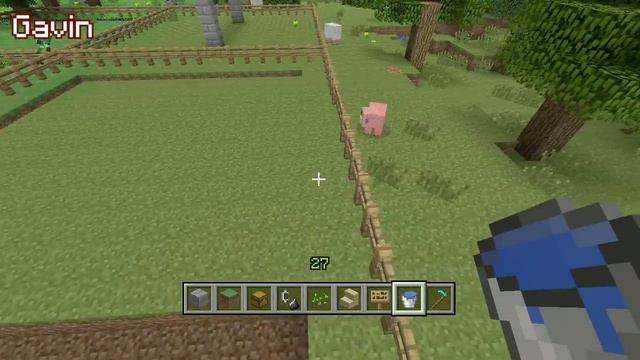 Let's Build in Minecraft - Actual Petting Zoo смотреть онлайн