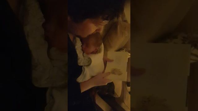 Snooze Button 9: Peter Rabbit смотреть онлайн
