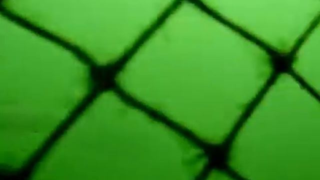 ЩЁЛКОВСКИЙ КАРЬЕР 22.07.2012.flv смотреть онлайн