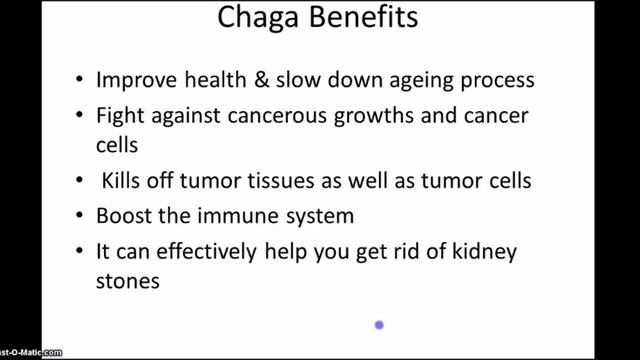 Chaga Video 2016 смотреть онлайн