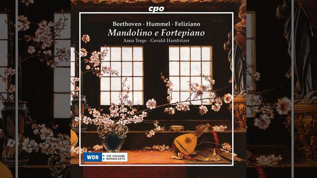 Adagio for Mandolin & Keyboard in E -Flat Major, WoO 43b смотреть онлайн