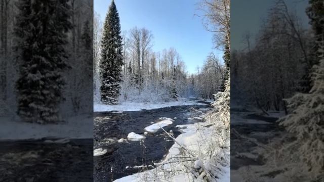 Любовь как смысл жизни. Стих смотреть онлайн
