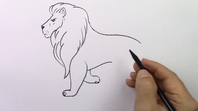 Adım Adım Aslan Resmi Nasıl Çizilir, Kolay Karakalem Çizimler, Çizim Hobimiz Hayvan Çizimleri