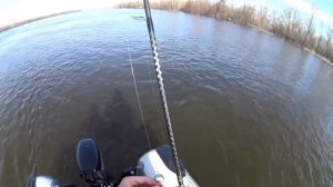 СУДАК НА ДЖИГ В САРАТОВЕ. Ловля судака в половодье перед запретом с лодки.