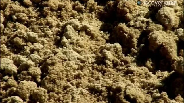 Кирпичи (Из чего это сделано) смотреть онлайн