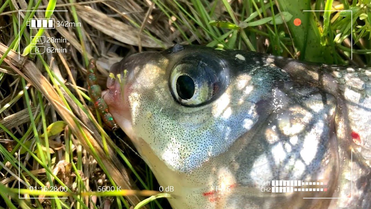 Фантастический спиннинг для мормышки и наноджига. Не перестаю удивляться! смотреть онлайн