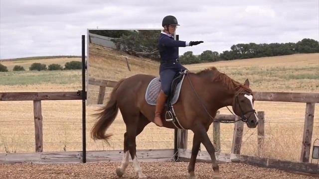 Exercises For Horse Riders To Balance Your Seat смотреть онлайн