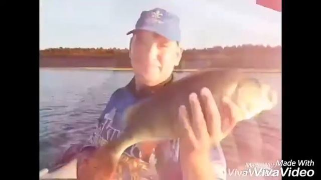Окунь рыбалка Нарочь отводной тиога смотреть онлайн